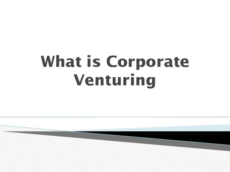 What is Corporate Venturing