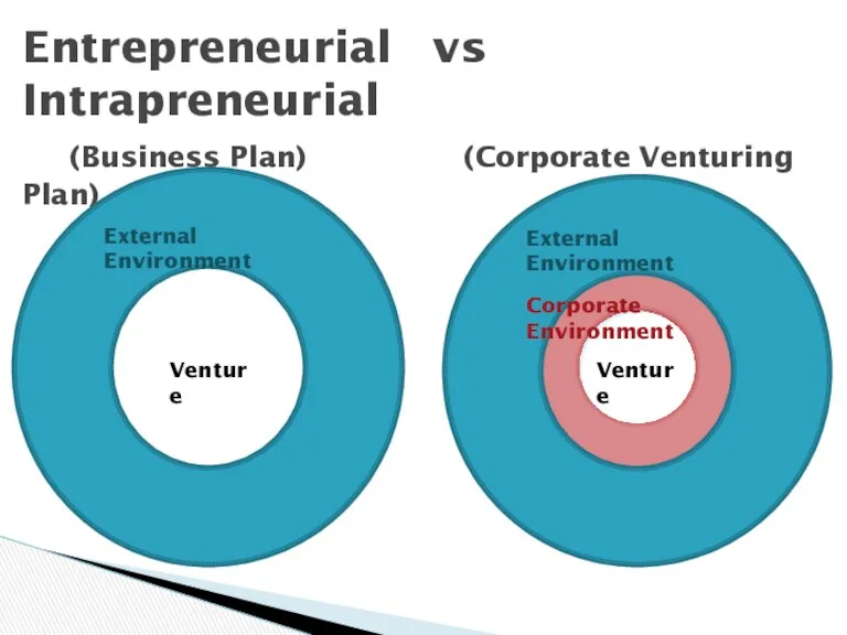 Entrepreneurial vs Intrapreneurial (Business Plan) (Corporate Venturing Plan) Venture Venture External Environment External Environment Corporate Environment
