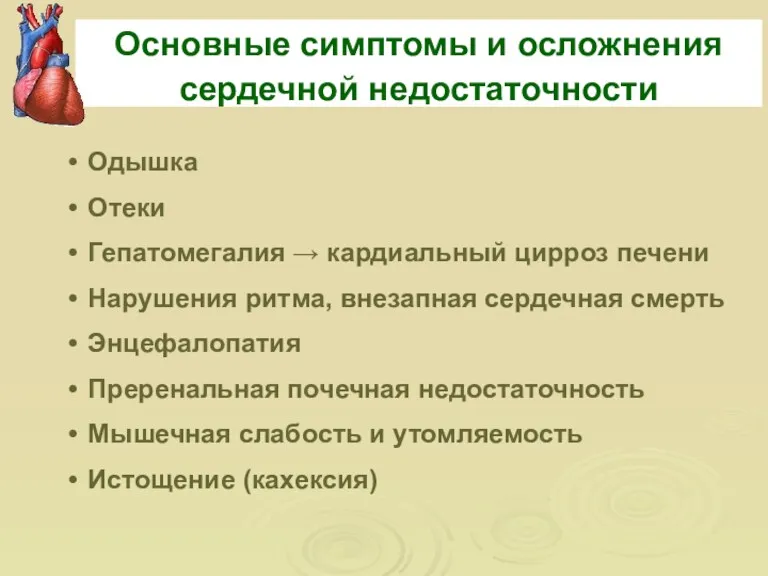 Основные симптомы и осложнения сердечной недостаточности Одышка Отеки Гепатомегалия →