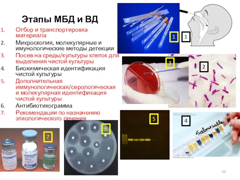 Этапы МБД и ВД Отбор и транспортировка материала Микроскопия, молекулярные