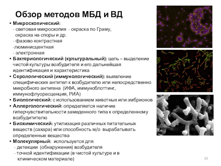 Обзор методов МБД и ВД Микроскопический: - световая микроскопия -