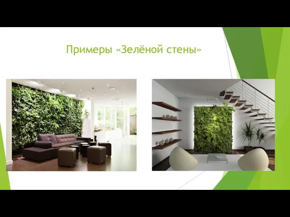 Примеры «Зелёной стены»