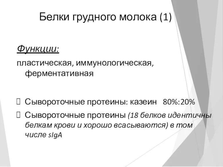 Белки грудного молока (1) Функции: пластическая, иммунологическая, ферментативная Сывороточные протеины: