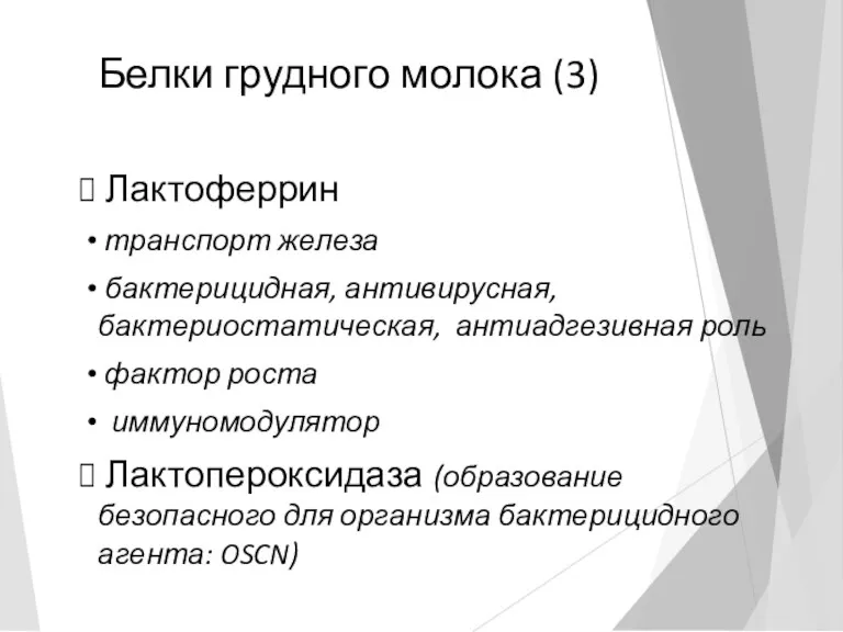 Белки грудного молока (3) Лактоферрин транспорт железа бактерицидная, антивирусная, бактериостатическая,