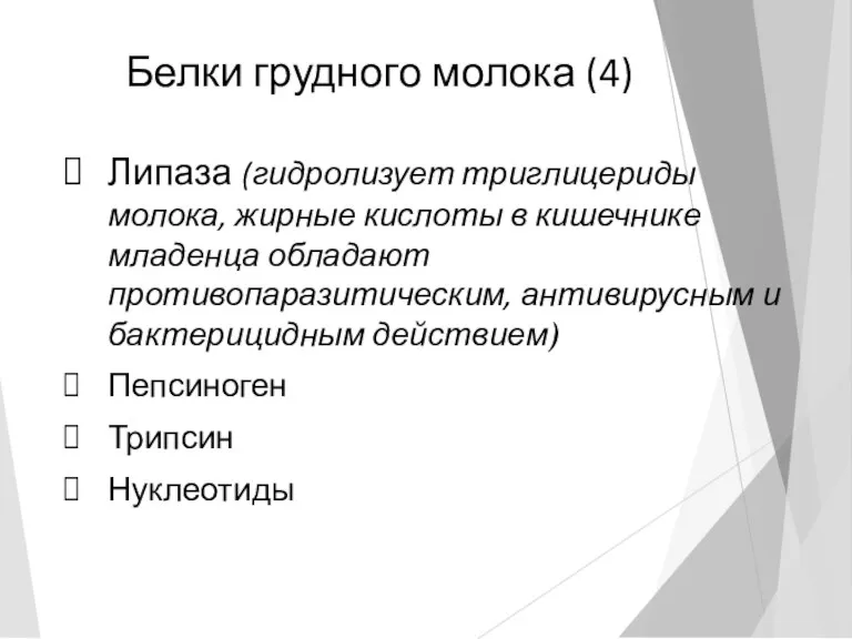 Белки грудного молока (4) Липаза (гидролизует триглицериды молока, жирные кислоты