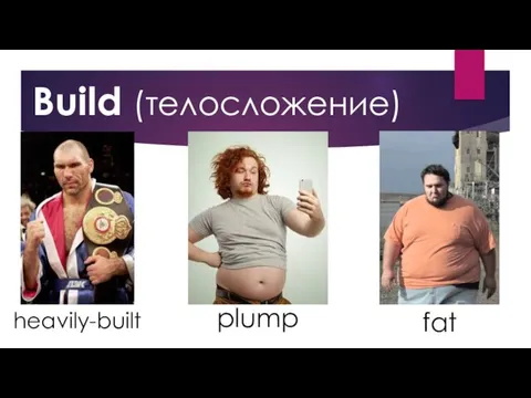 heavily-built plump fat Build (телосложение)