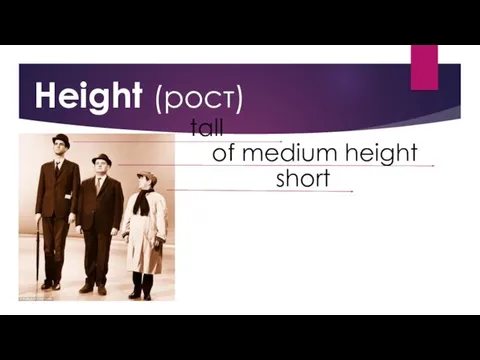 tall of medium height short Height (рост)