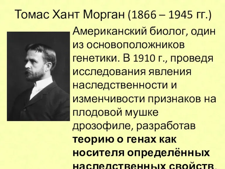 Томас Хант Морган (1866 – 1945 гг.) Американский биолог, один