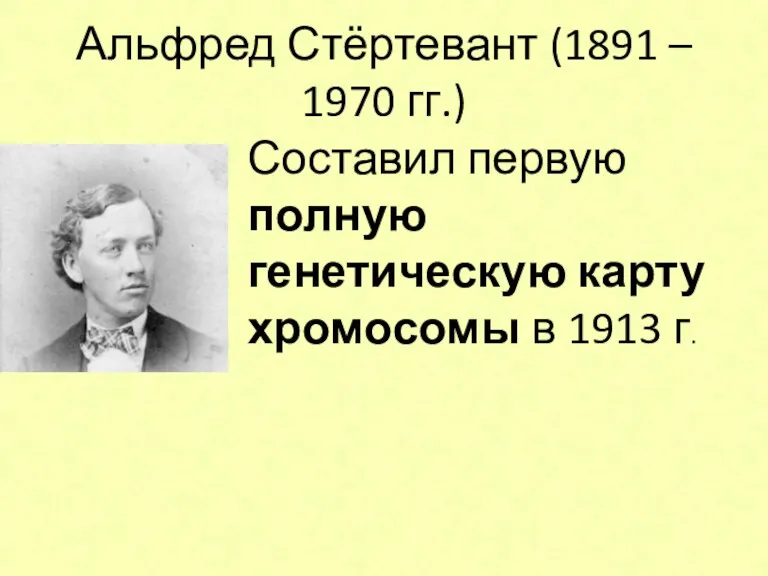 Альфред Стёртевант (1891 – 1970 гг.) Составил первую полную генетическую карту хромосомы в 1913 г.