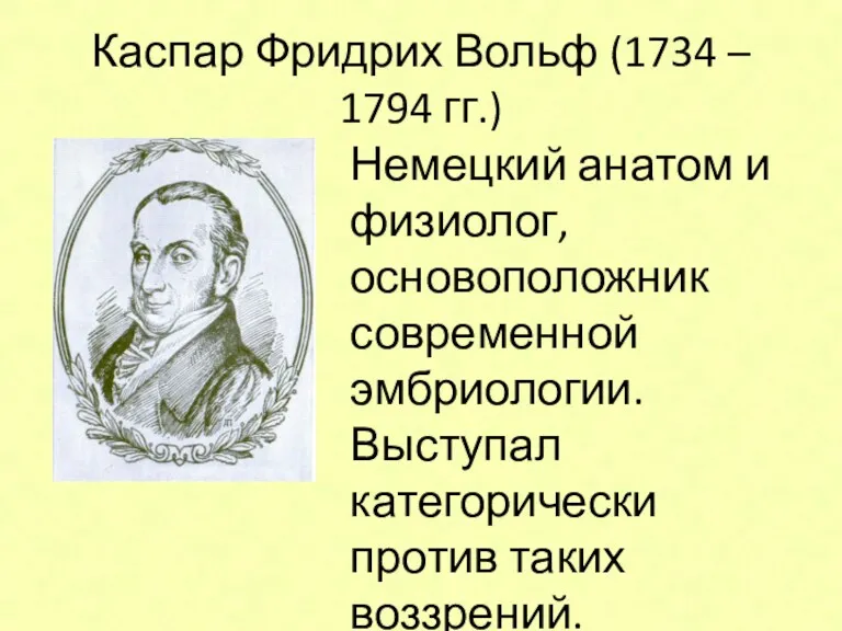 Каспар Фридрих Вольф (1734 – 1794 гг.) Немецкий анатом и