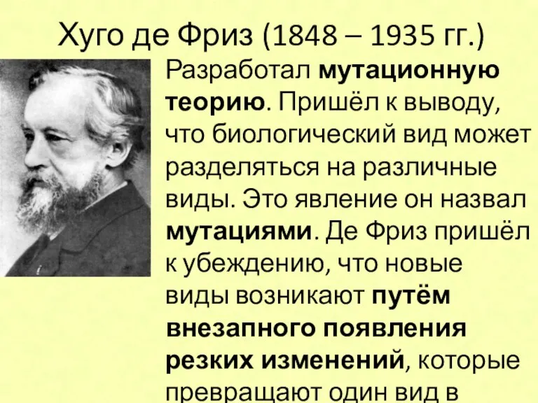 Хуго де Фриз (1848 – 1935 гг.) Разработал мутационную теорию.