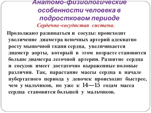 Анатомо-физиологические особенности человека в подростковом периоде Сердечно-сосудистая система. Продолжают развиваться