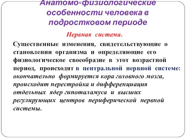 Анатомо-физиологические особенности человека в подростковом периоде Нервная система. Существенные изменения,