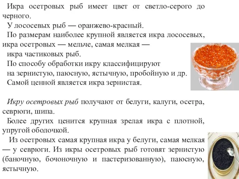 Икра осетровых рыб имеет цвет от светло-серого до черного. У