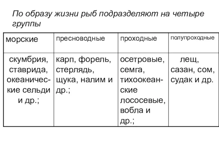 По образу жизни рыб подразделяют на четыре группы