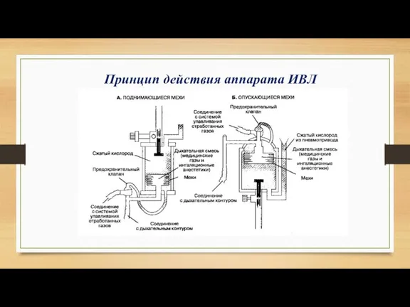 Принцип действия аппарата ИВЛ