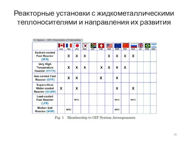 Реакторные установки с жидкометаллическими теплоносителями и направления их развития