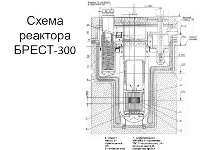 Схема реактора БРЕСТ-300