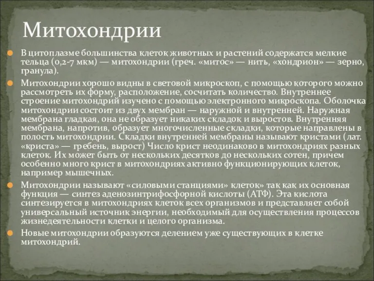 В цитоплазме большинства клеток животных и растений содержатся мелкие тельца