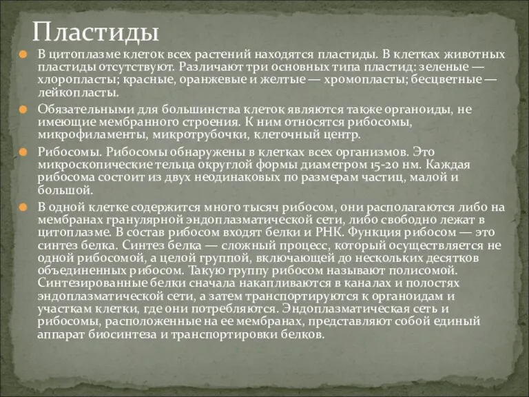 В цитоплазме клеток всех растений находятся пластиды. В клетках животных пластиды отсутствуют. Различают