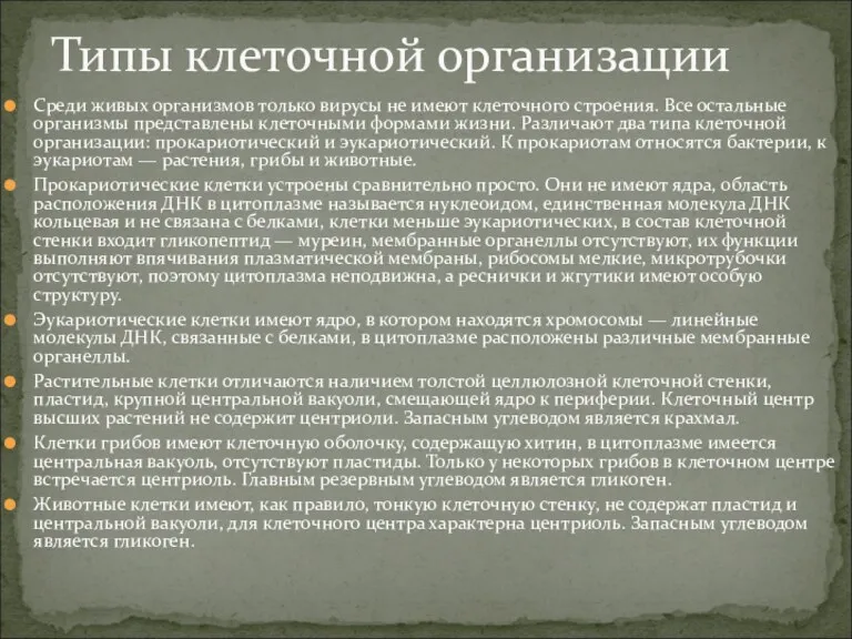 Среди живых организмов только вирусы не имеют клеточного строения. Все остальные организмы представлены