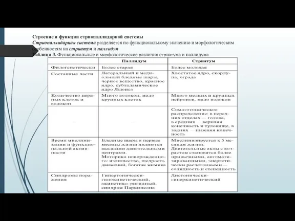 Строение и функции стриопаллидарной системы Стриопаллидарная система разделяется по функциональному