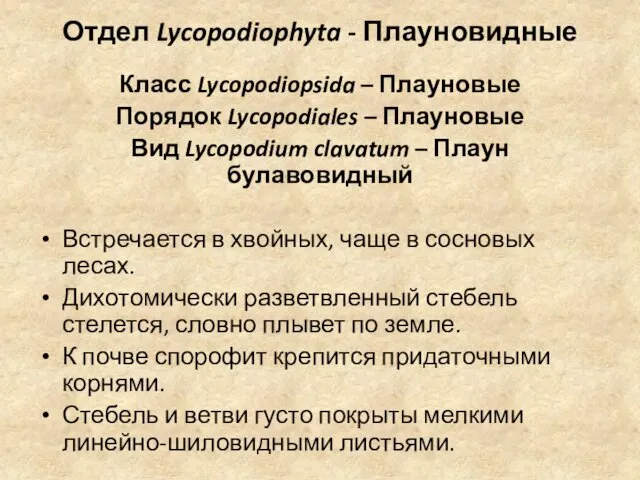 Отдел Lycopodiophyta - Плауновидные Класс Lycopodiopsida – Плауновые Порядок Lycopodiales