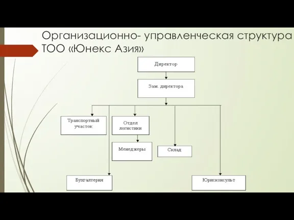 Организационно- управленческая структура ТОО «Юнекс Азия»