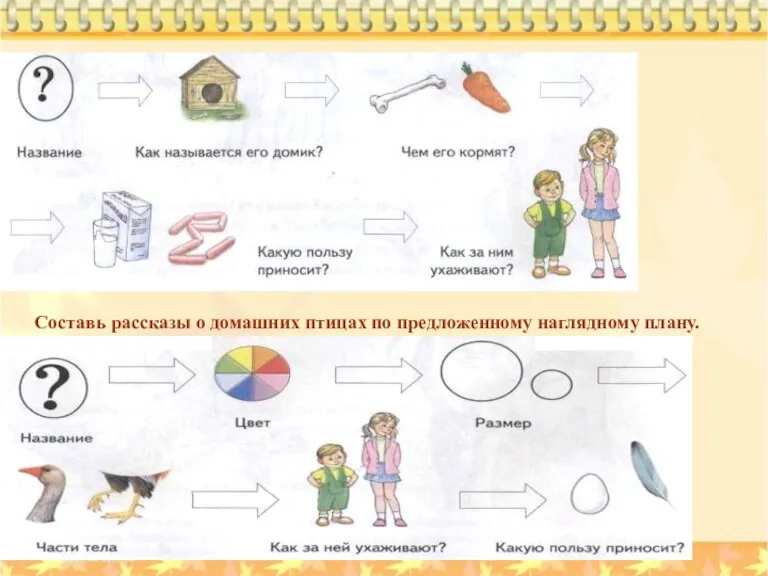 Составь рассказы о домашних птицах по предложенному наглядному плану.