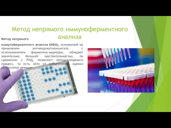 Метод непрямого иммуноферментного анализа (ИФА), основанный на применении антивидовогоконъюгата с