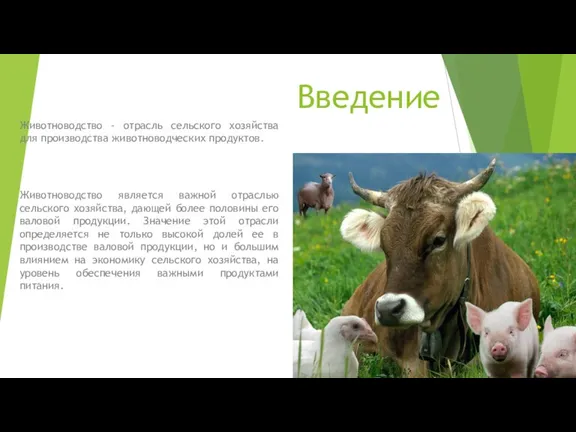 Введение Животноводство - отрасль сельского хозяйства для производства животноводческих продуктов.