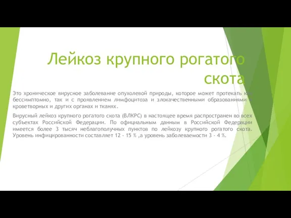 Лейкоз крупного рогатого скота Это хроническое вирусное заболевание опухолевой природы,