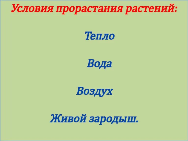 Условия прорастания растений: Тепло Вода Воздух Живой зародыш.