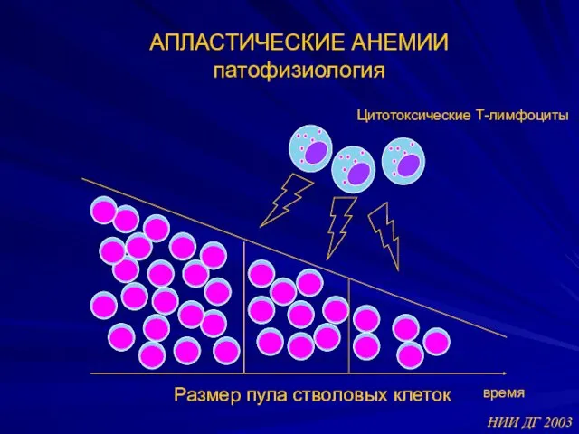 АПЛАСТИЧЕСКИЕ АНЕМИИ патофизиология НИИ ДГ 2003