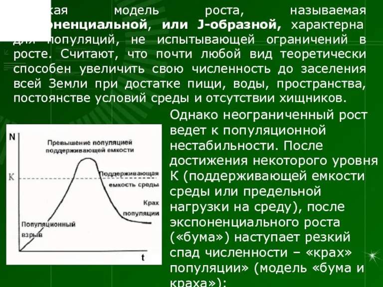 Такая модель роста, называемая экспоненциальной, или J-образной, характерна для популяций,