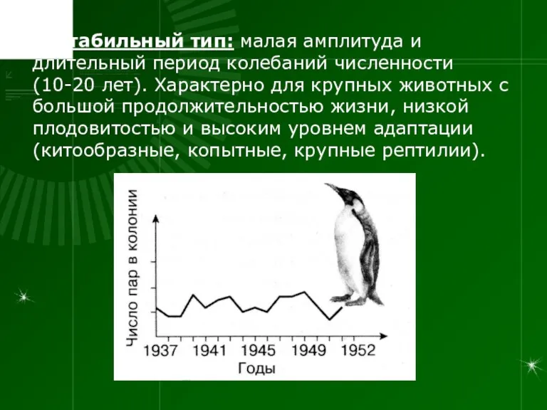 I. Стабильный тип: малая амплитуда и длительный период колебаний численности