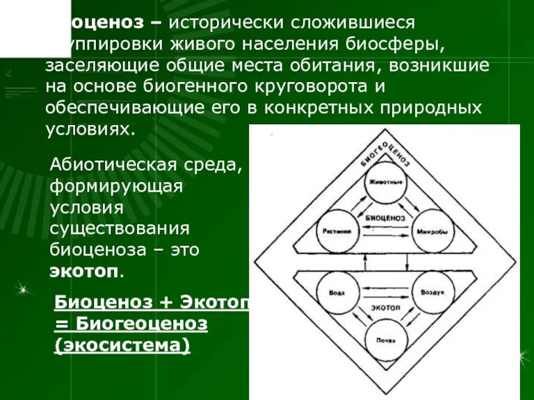 Биоценоз – исторически сложившиеся группировки живого населения биосферы, заселяющие общие