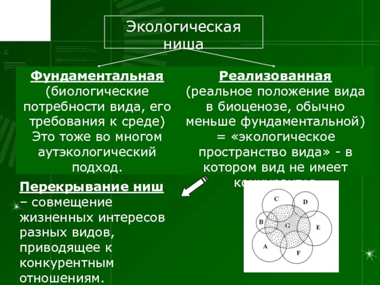 Фундаментальная (биологические потребности вида, его требования к среде) Это тоже