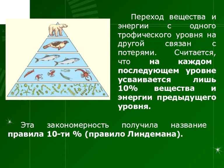 Переход вещества и энергии с одного трофического уровня на другой