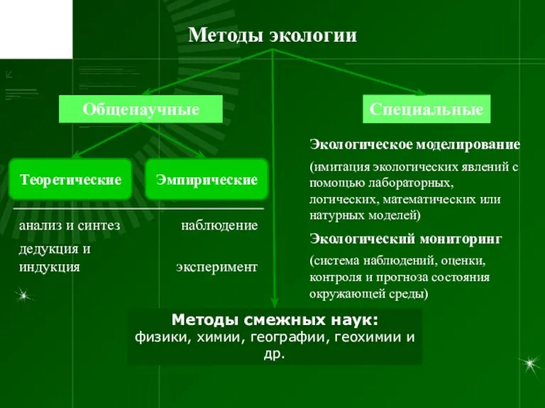 Методы экологии Общенаучные Специальные Теоретические Эмпирические Методы смежных наук: физики, химии, географии, геохимии и др.