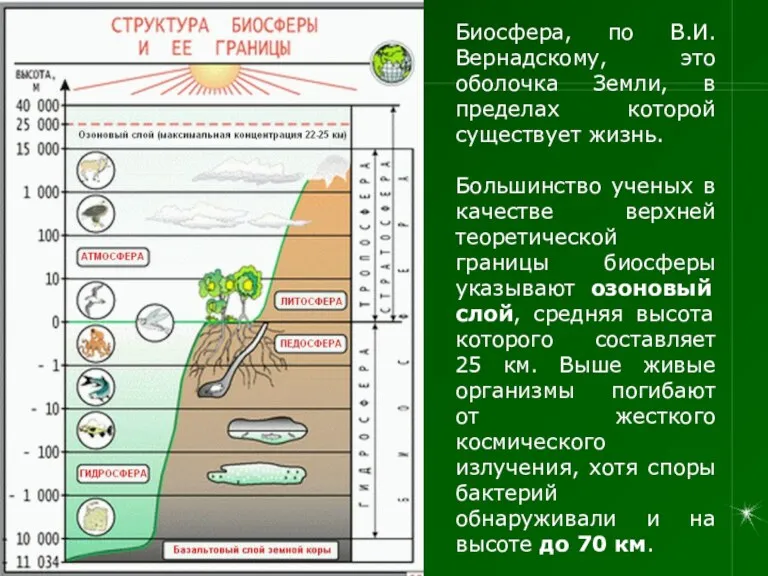 Биосфера, по В.И. Вернадскому, это оболочка Земли, в пределах которой