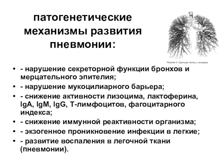 патогенетические механизмы развития пневмонии: - нарушение секреторной функции бронхов и