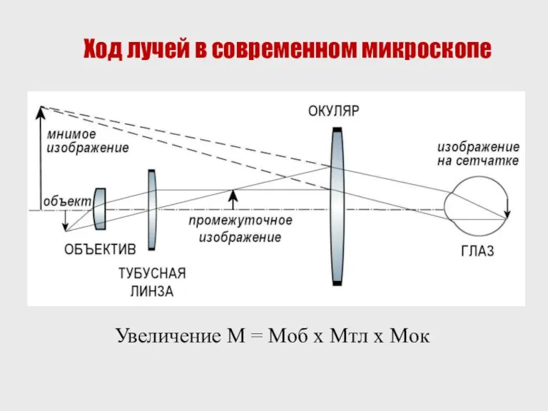 Ход лучей в современном микроскопе Увеличение M = Mоб x Mтл x Mок