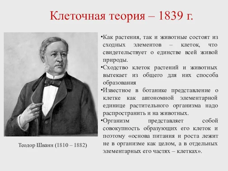 Клеточная теория – 1839 г. Теодор Шванн (1810 – 1882) Как растения, так