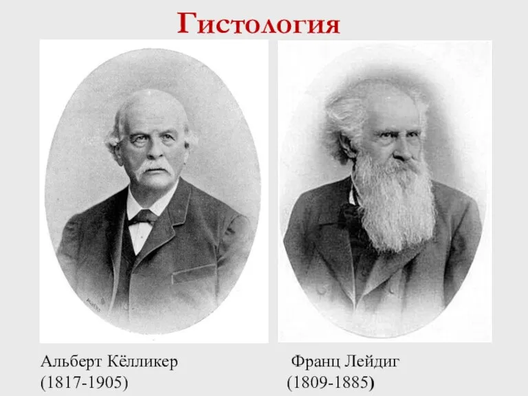 Франц Лейдиг (1809-1885) Альберт Кёлликер (1817-1905) Гистология