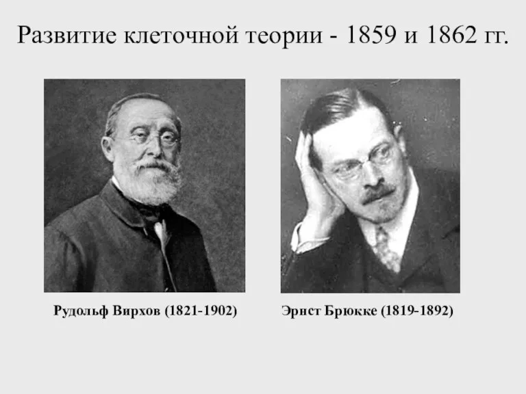 Развитие клеточной теории - 1859 и 1862 гг. Рудольф Вирхов (1821-1902) Эрнст Брюкке (1819-1892)