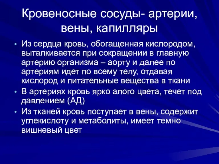 Кровеносные сосуды- артерии, вены, капилляры Из сердца кровь, обогащенная кислородом,