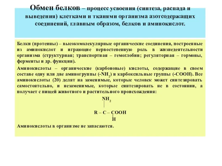 Обмен белков – процесс усвоения (синтеза, распада и выведения) клетками