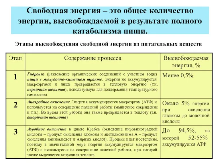 Свободная энергия – это общее количество энергии, высвобождаемой в результате