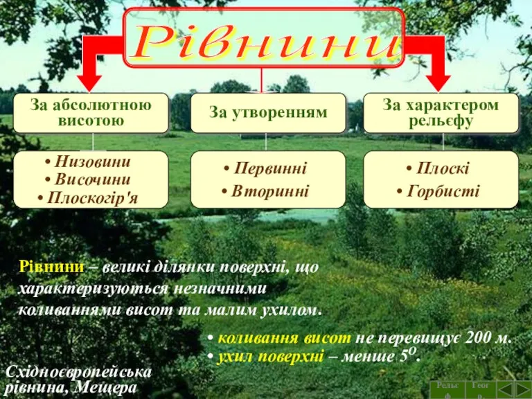 Східноєвропейська рівнина, Мещера Рівнини – великі ділянки поверхні, що характеризуються